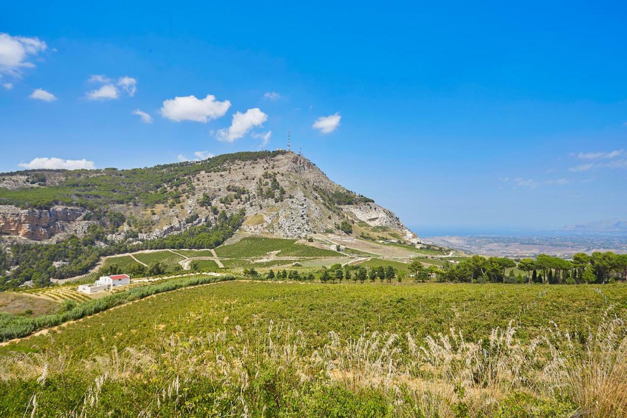 Villa Bonifato Vista Sulle Campagne E Sul Mare Siciliano Cozy House Italy อัลคาโม ภายนอก รูปภาพ