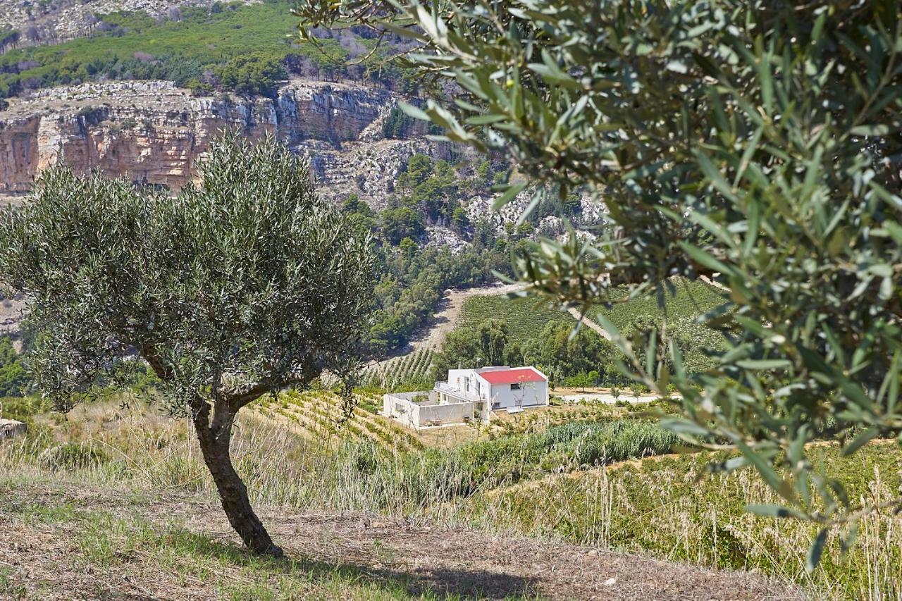 Villa Bonifato Vista Sulle Campagne E Sul Mare Siciliano Cozy House Italy อัลคาโม ภายนอก รูปภาพ